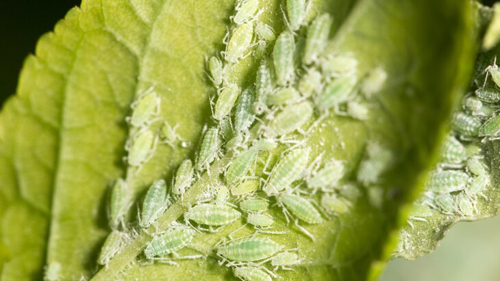 ������� ������� ����������� ������� ������ � ���� �� ����