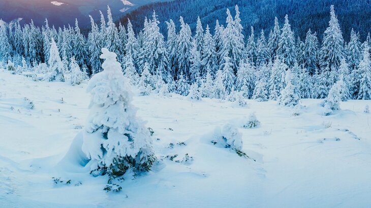 ������������� ������ ��� ������� ��� ������ ������� �����