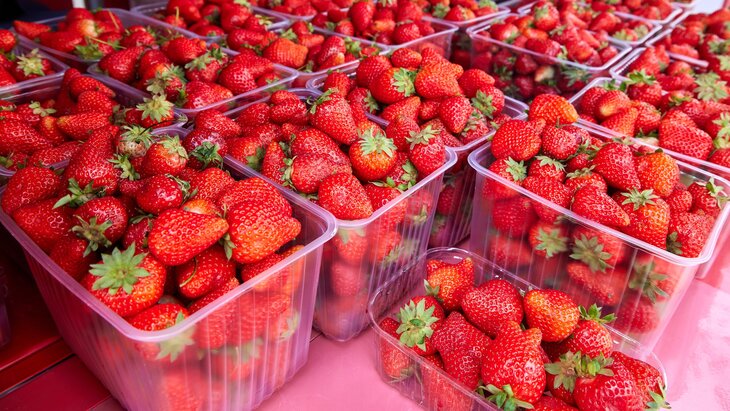 ������� ���������, ����� ���������� ��������