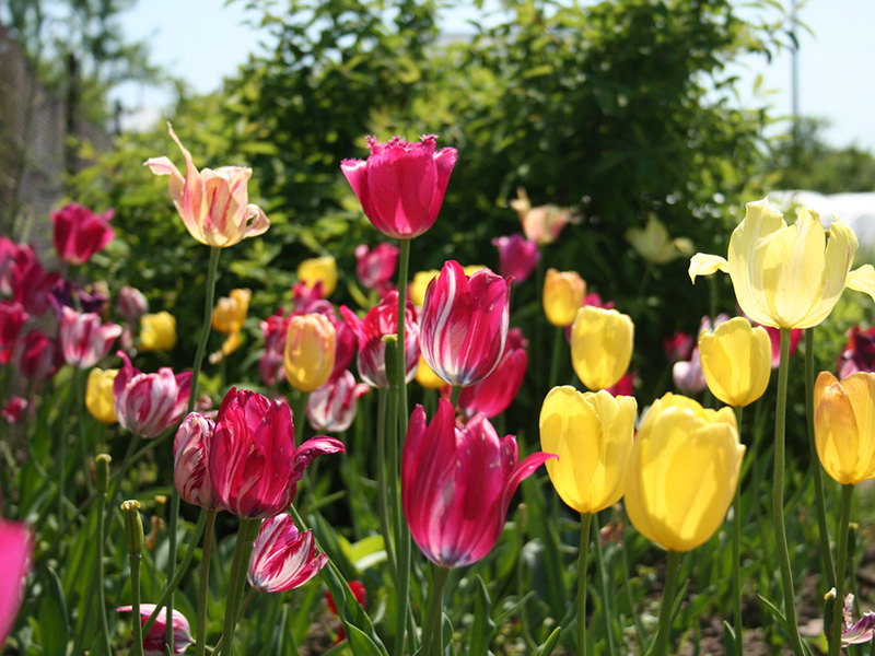 �������� ������ ������������ ������ ����� ������ - ��� ������ �� ������� ������