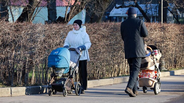 ������� �� ����������� ����������� �� �������������� ����� ��������� �����