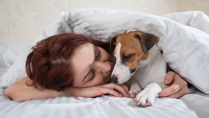 � �� ����� ������ ����������� �������� �������� ����������������� ������