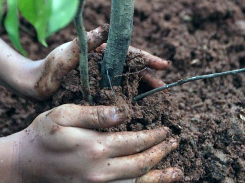 ����������� ����� - ���������� �� ���������� �����������, ������� ������� ������ 2016 ����