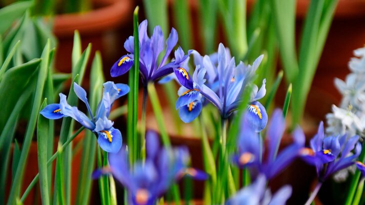 ������������� ����� � ������ ��������� � ������ � ������ ����