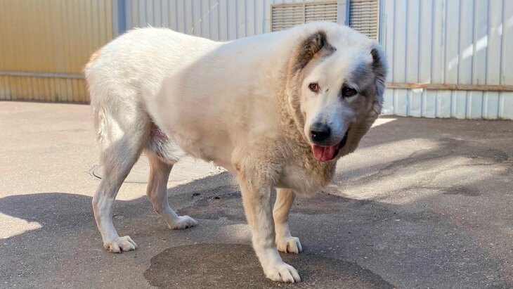 ����������� �� 50 ����������� ��� �������� ���� ����� ���