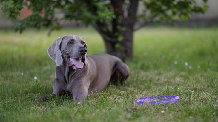 ������� ��������� � ������������ ������� ��������� ��� �����