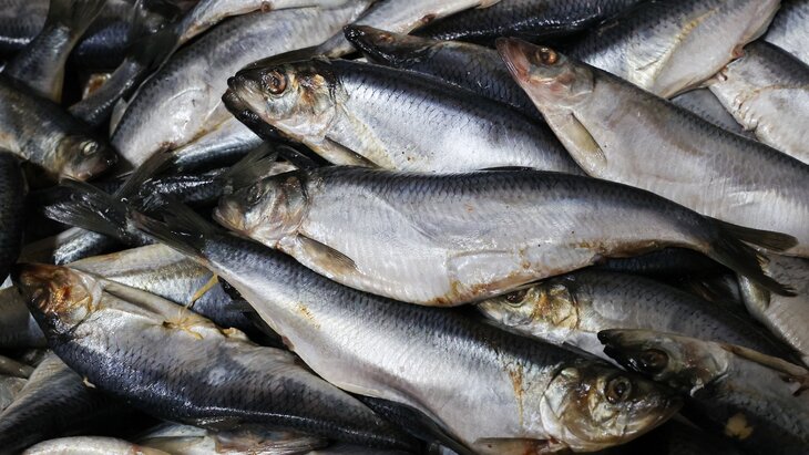 �������� ������� ����� �������� ���� ��� �������