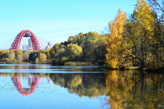 ����������� ��� �������� �������