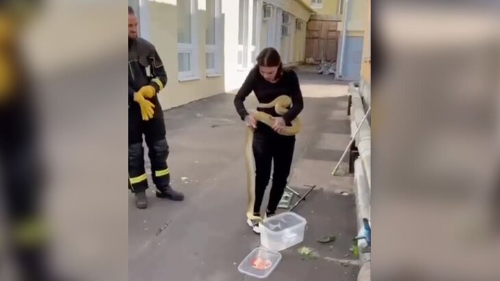 ���� ���������� � ������ ������