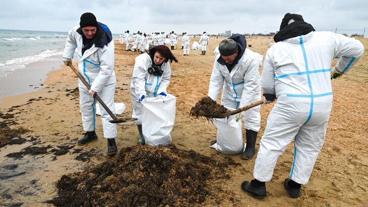 � ���������� ������� ����� �������������� ������������ ������ �����