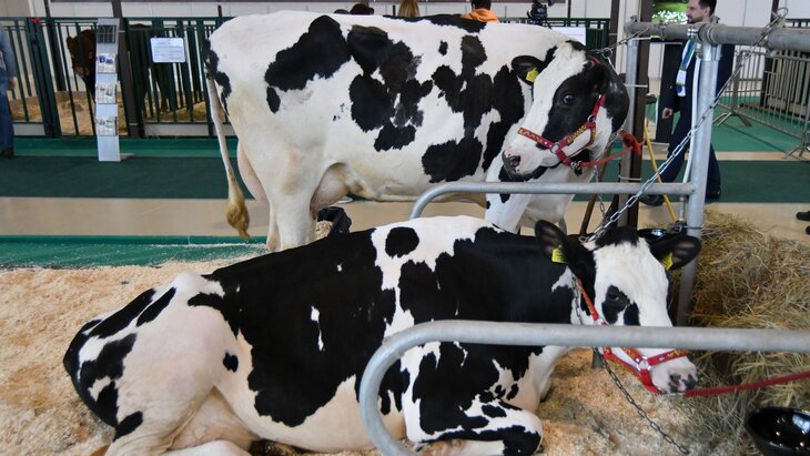 � �� ������� ���������� � ������� ����� ������� ��� �������� �� ��������