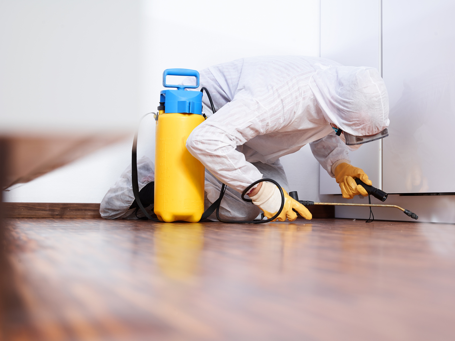 ��� �� ��� ������ ����������������