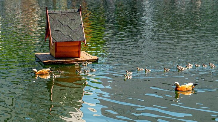 ����� 200 �������� ������� ��� ���� ��������� �� �������� ������