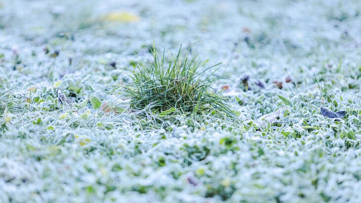 � ����������� ��������� �������� ������ �� ��-�� ���������� � �� �� ����� ������