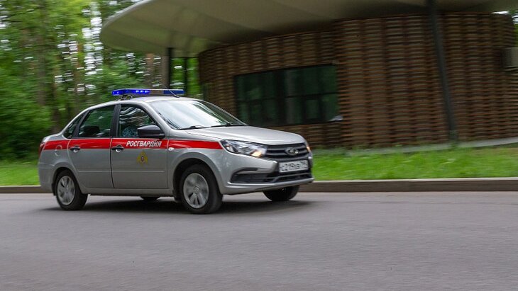 ������������ ��������� ������� ������� � ����� �� ������� �������� �� ��� ������