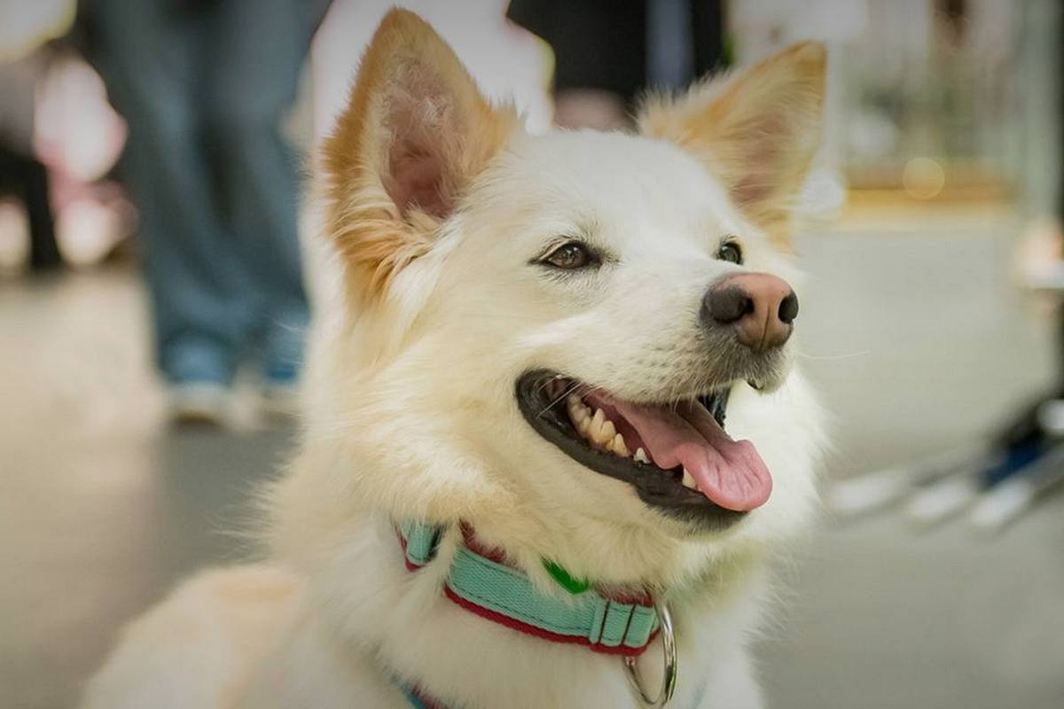 ��������-������������ ���� �� ������ ������� 16 ������� � ����� ����������-�������