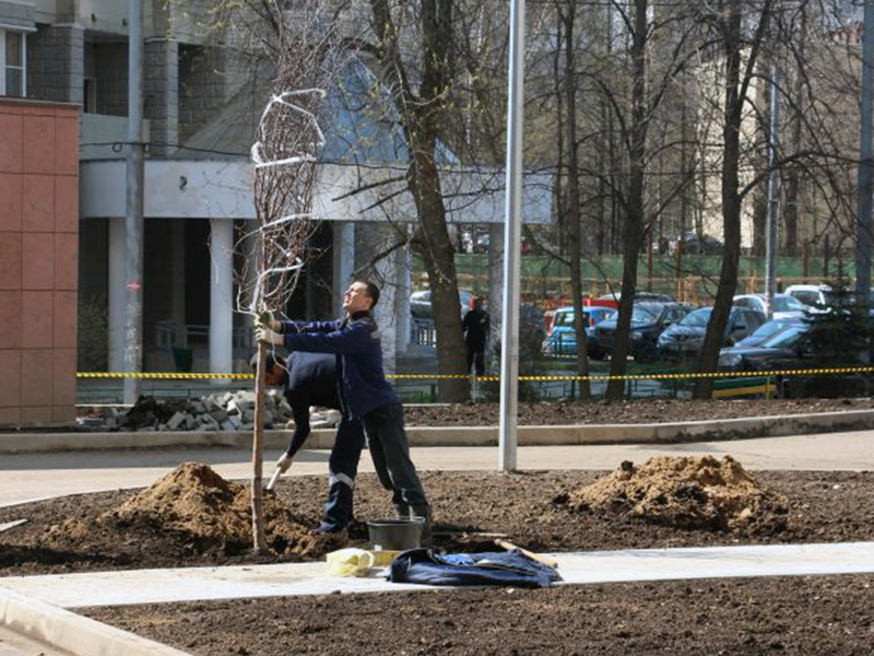 � ������ ��������� �������� �������� � ������� ���� ������ ������� 380 ����� �������� � �����������