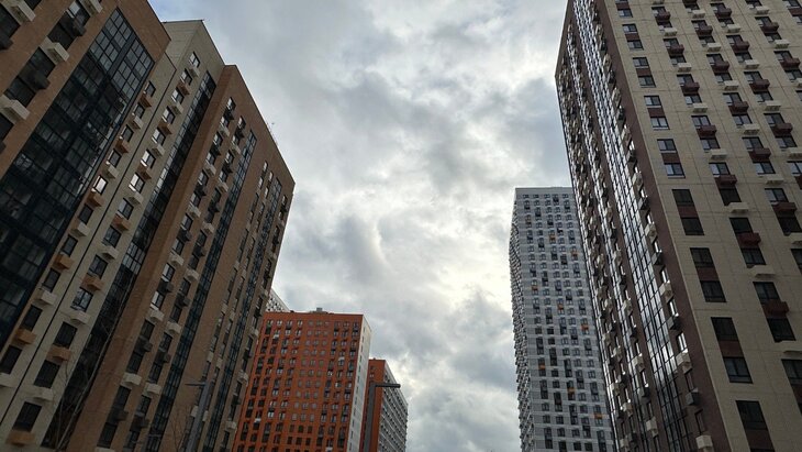 ������� ������� �� ����������� ������� ���������� ����� �������� ���������