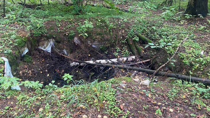 ������� �������� ������� � ���� � �����