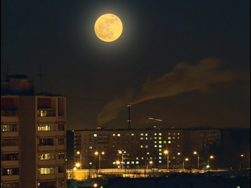 � �������� ������� ���� ���������� ����������