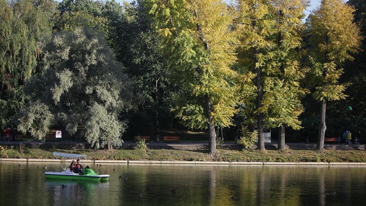 ������ � ������ ������ ������������ � ������ ������