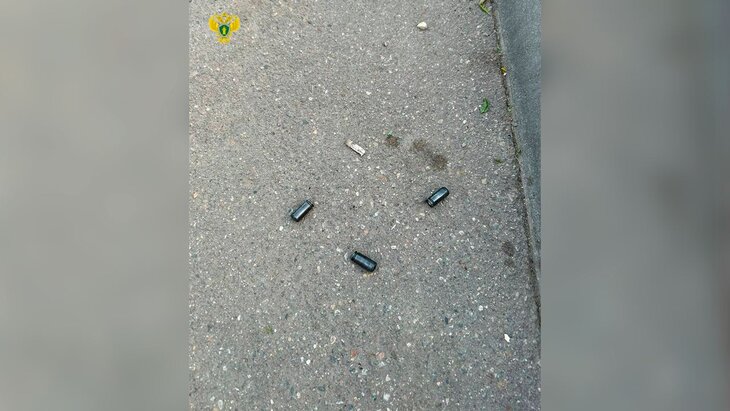 ��� �������� ���������� � ���� �������� �� ��� ������