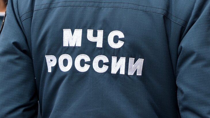 �������� ������������ ���������� �� ����������� � ���