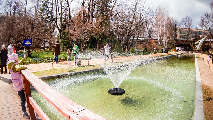 ���������� ������ �������� � ������ � 13 �����