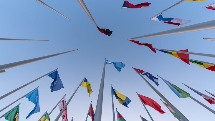 ������� ����������� �������� ������������� ����������� � ��������� ��� � ������