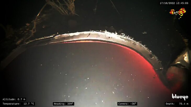 ������ �������� ���� ����� � ������������� ������� �� "�������� �������"