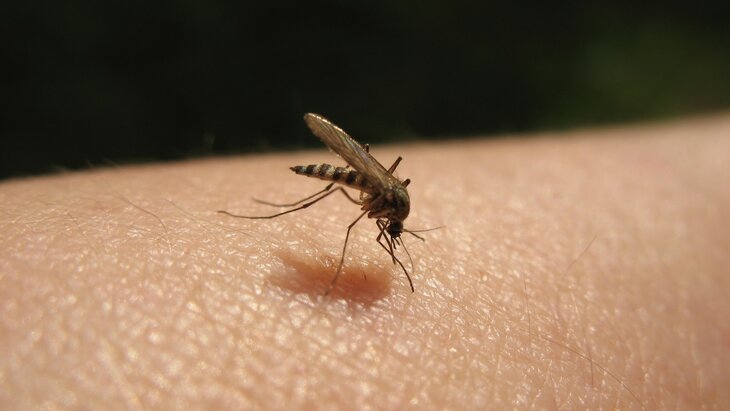 ��������� ��������, ������ ����������� ������ ���� ��������� ������� � ���