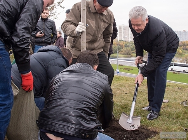 �� 5 ��� � ������ ���� ������� ���������� ���� �������������� 230 ��