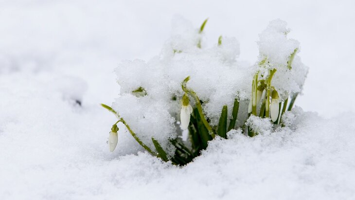 ��������� ������������ � ��������� ������ � ������������� ������� ����