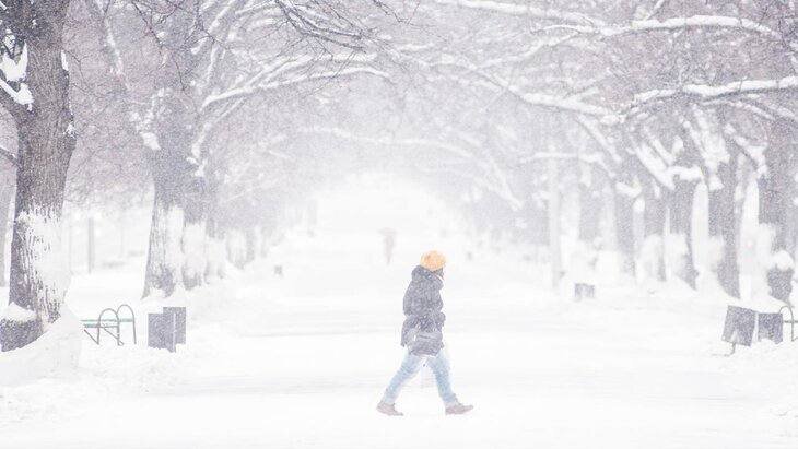 ������ ���� � ���������� ��������� � ������ 31 �������