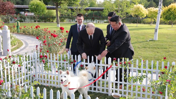 ������ ���������, ��� ����� ���������� ��� ��� ���� ������ ������