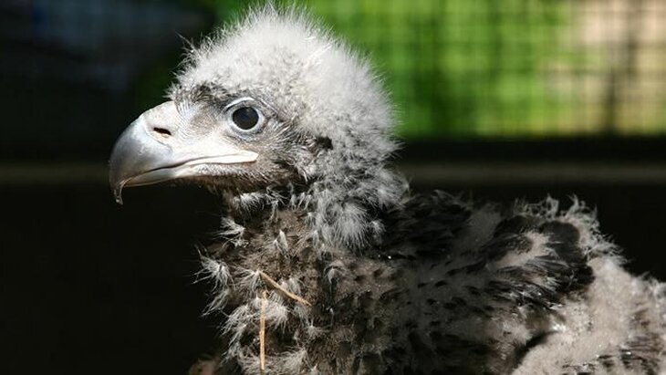 ������ ����������� ������ �������� �� ���� � ���������� ��������