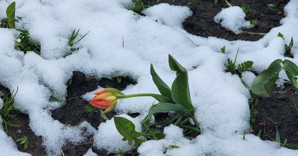 ���������� ������� ��������� ��-�� ���������� �������� � ���������� ������� � ���� �� �����