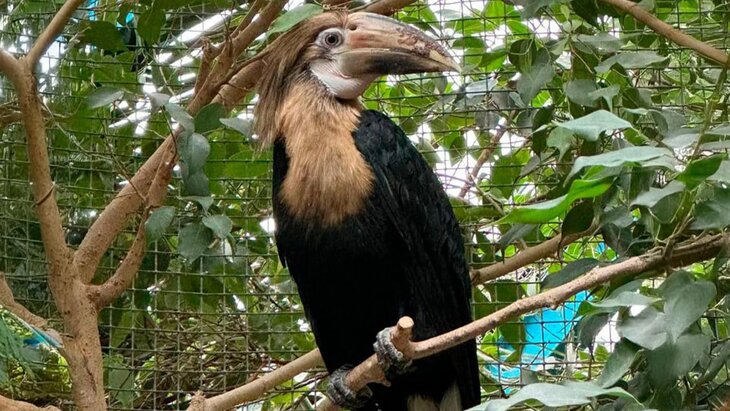 "�������� ��������" ������� ��� ��� ������ ����������� �����