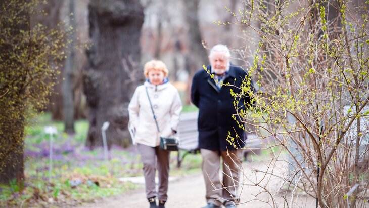 ��������� ��������� ������ ����������������� ����� 15 �����