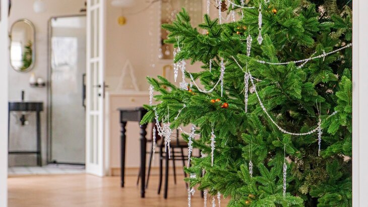 ��������� ����������, ������ ������ ������� ������� ���� � ����� ���� ���������