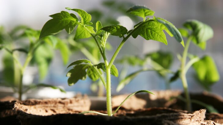 �������, ������ � �������� ����� � ��� ����� ���������� ������� � �������