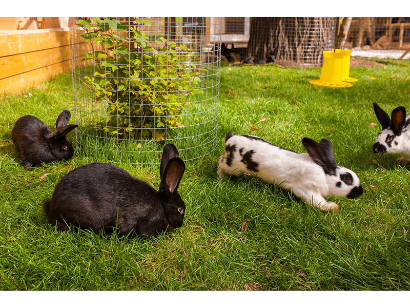  " "        WORLD ARCHITECTURE FESTIVAL 2016