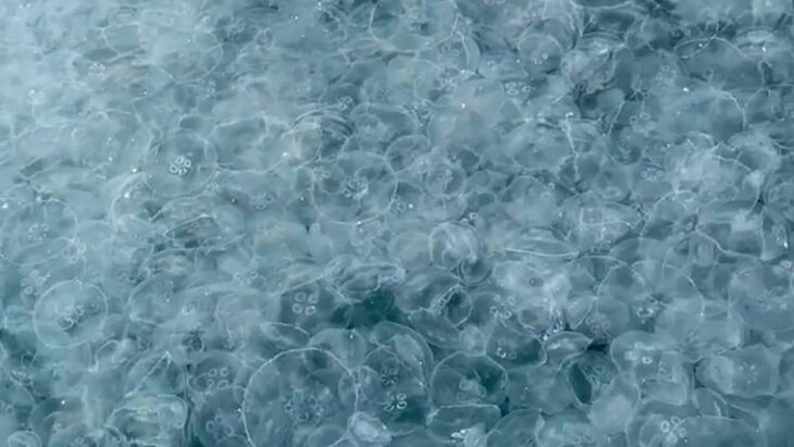 ������� ��������� � �������� ��������� ����� � �����