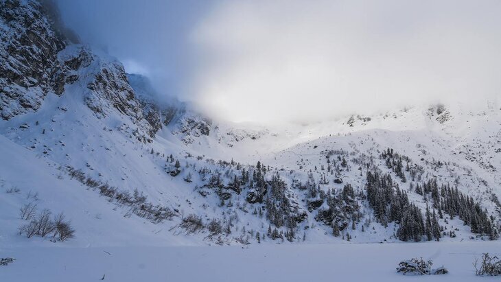 ������� ����� ��� ����� ������ � �������