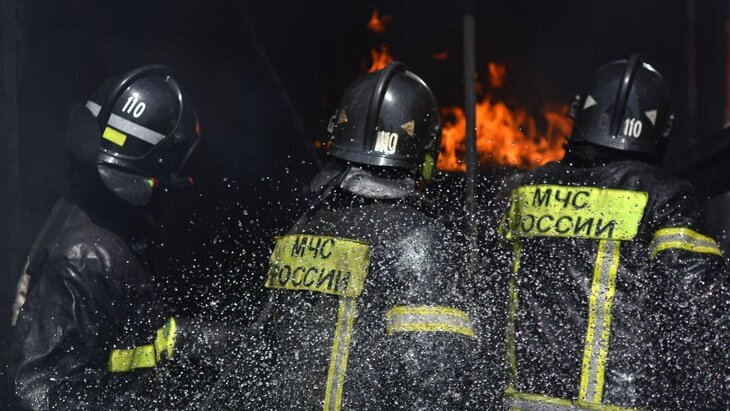 ����� �������� 5 ����� ���������� ������ ����������� �� ������ � �������� � �����������