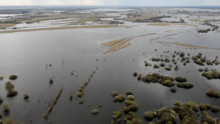 ����� �� ������������� ������ ������ � ��������� ������� ��-�� �������