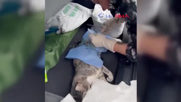 ������������ ��������� ������������� ����� � ��������� ������ �� ����� �������������