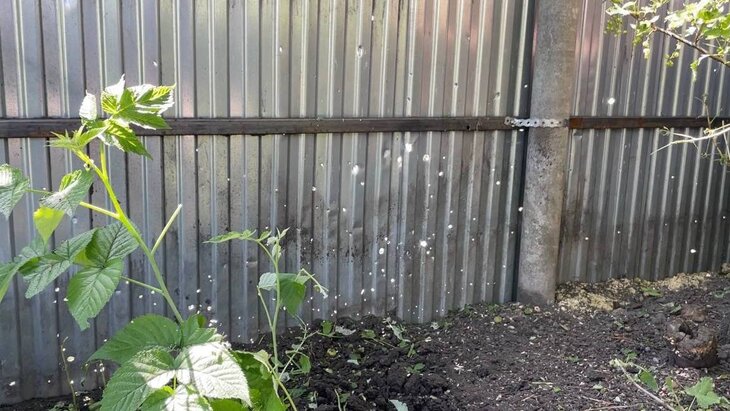 ��� �������� ���������� � ������������ ������� � ���������� ����� �� ������� ���