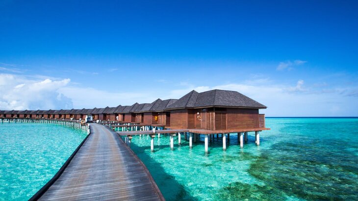 �������� ������ ������ �� ����� �� ����������� ���������