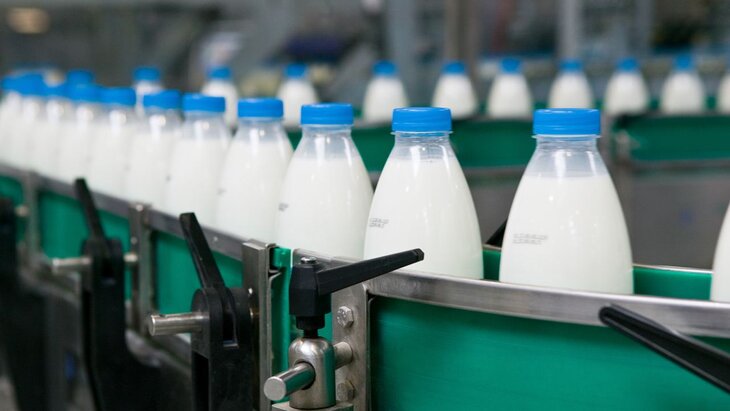 ���� �� ������ � �� �������� �� 10% � �������-������� 2024 ����